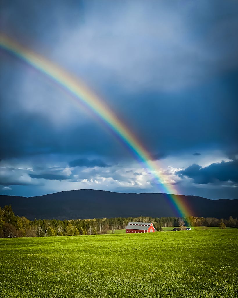 HFB jaffin rainbow
