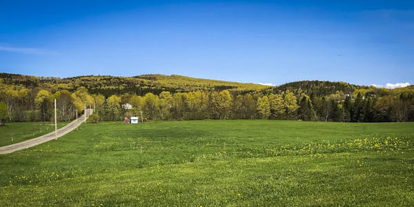 IMG_8359 IMG_8359