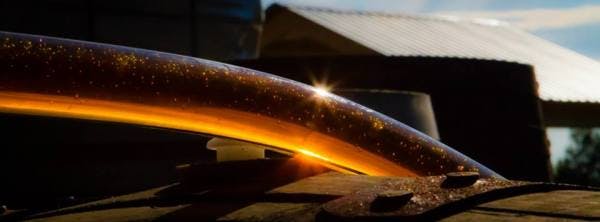 Maple-tube Maple-tube