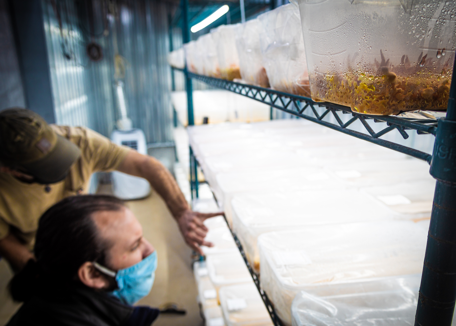 Peaceful Harvest 20210426 0008