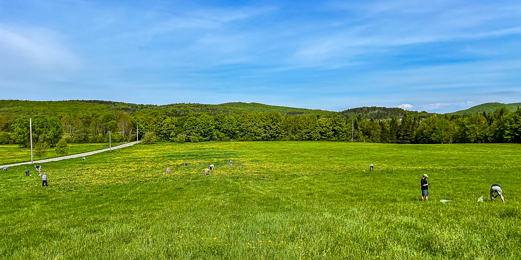 Vera Mae 20240522 001