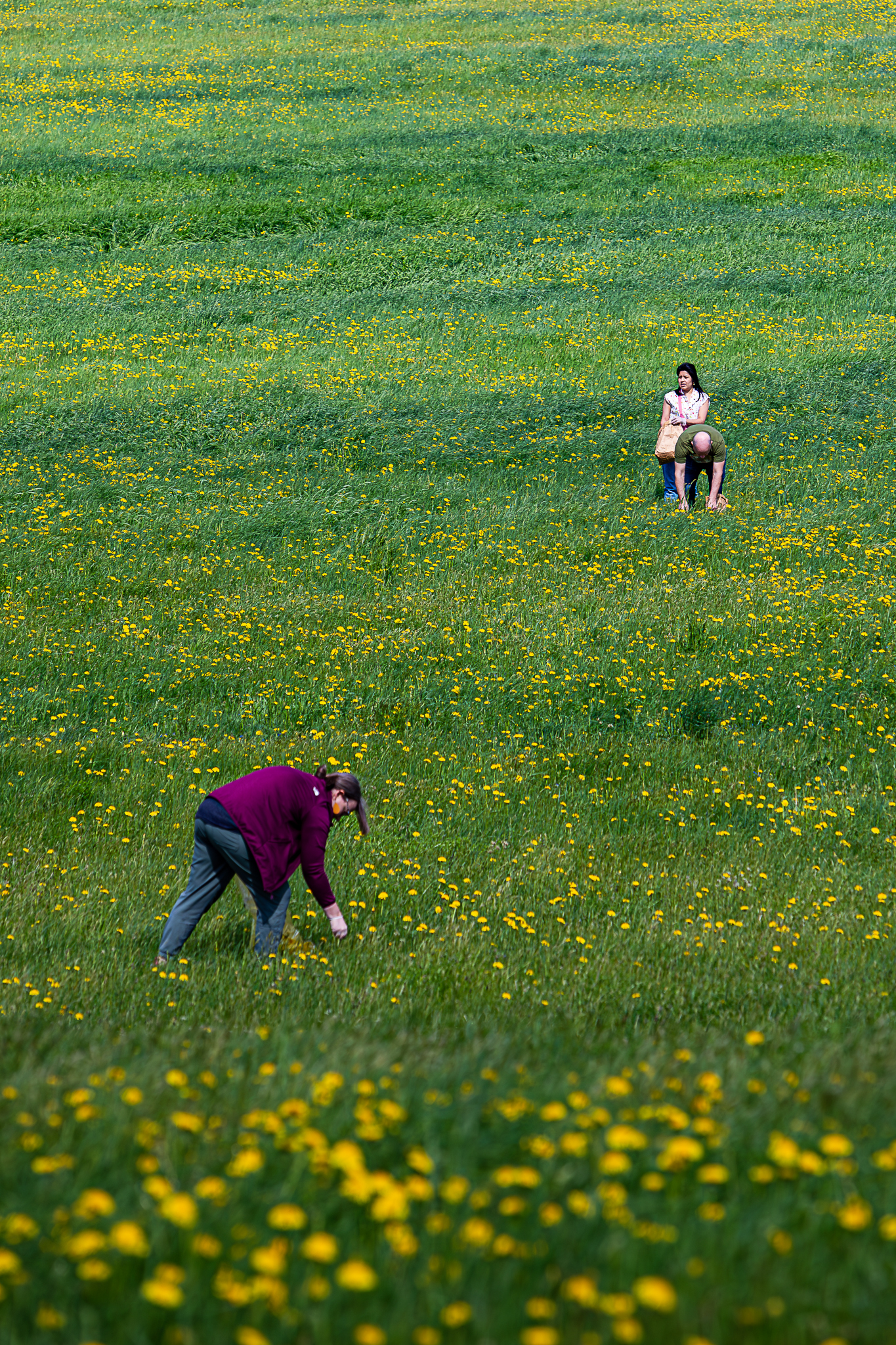 Vera Mae 20240524 004