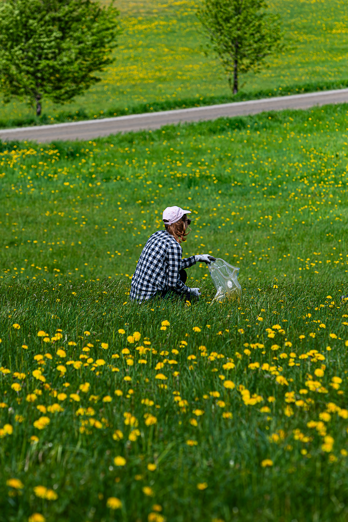 Vera Mae 20240524 005