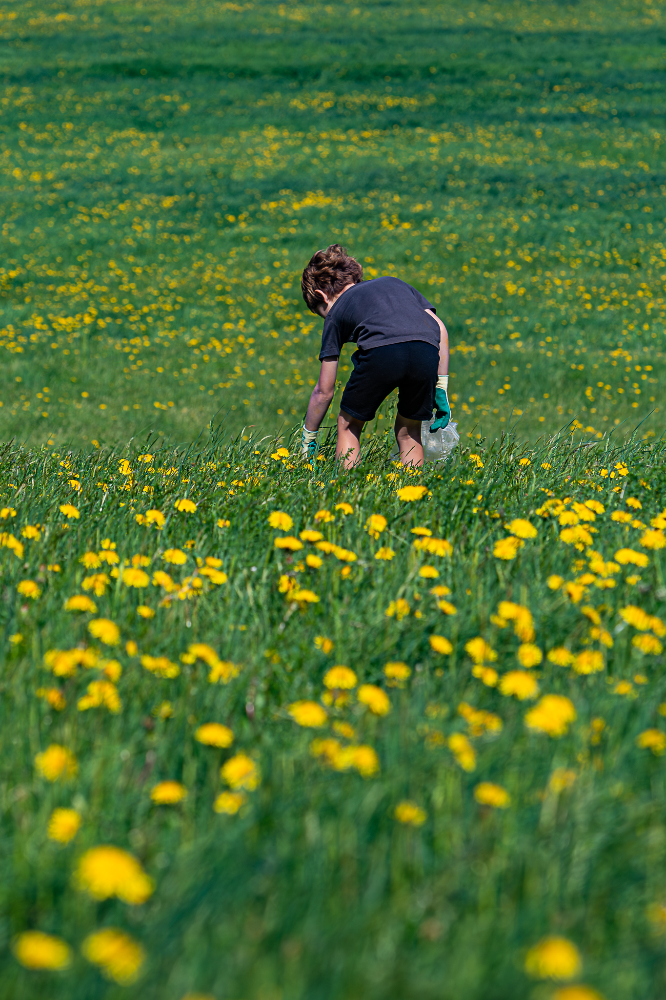 Vera Mae 20240524 006