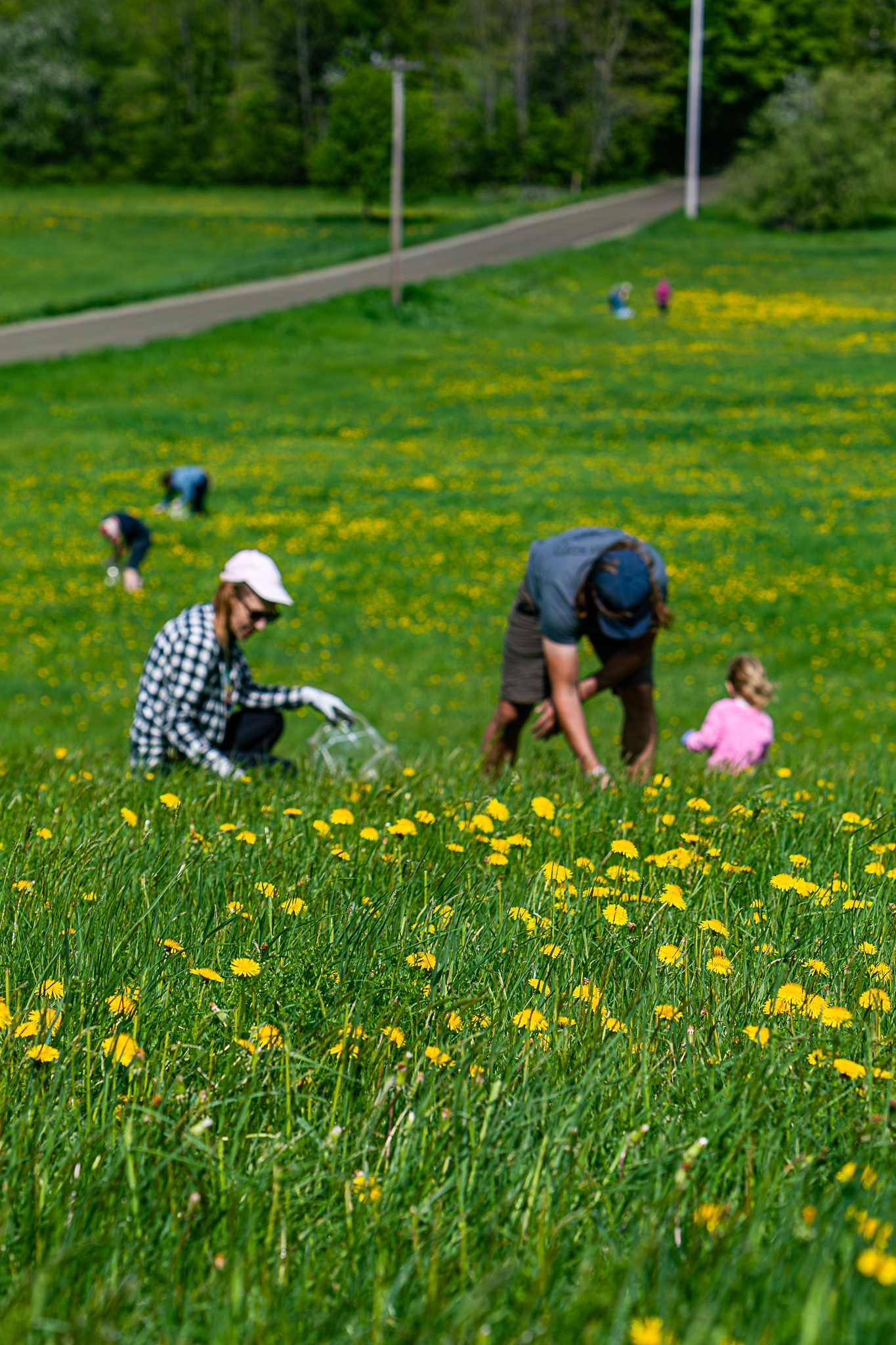 Vera Mae 20240524 007