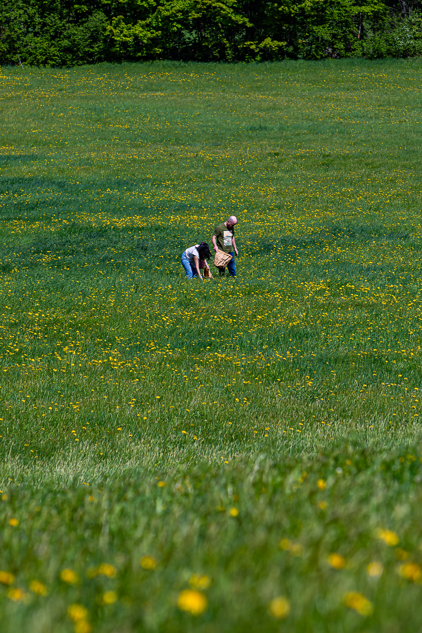 Vera Mae 20240524 009