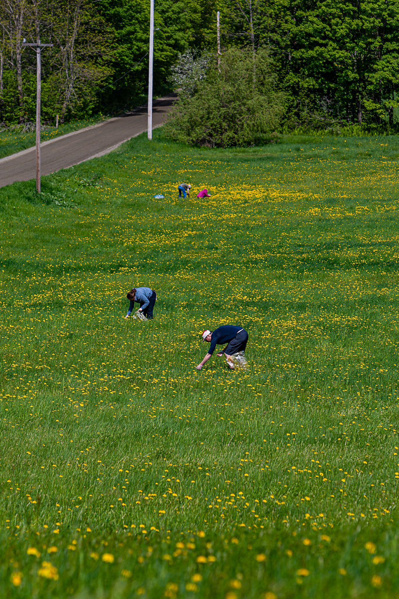 Vera Mae 20240524 010