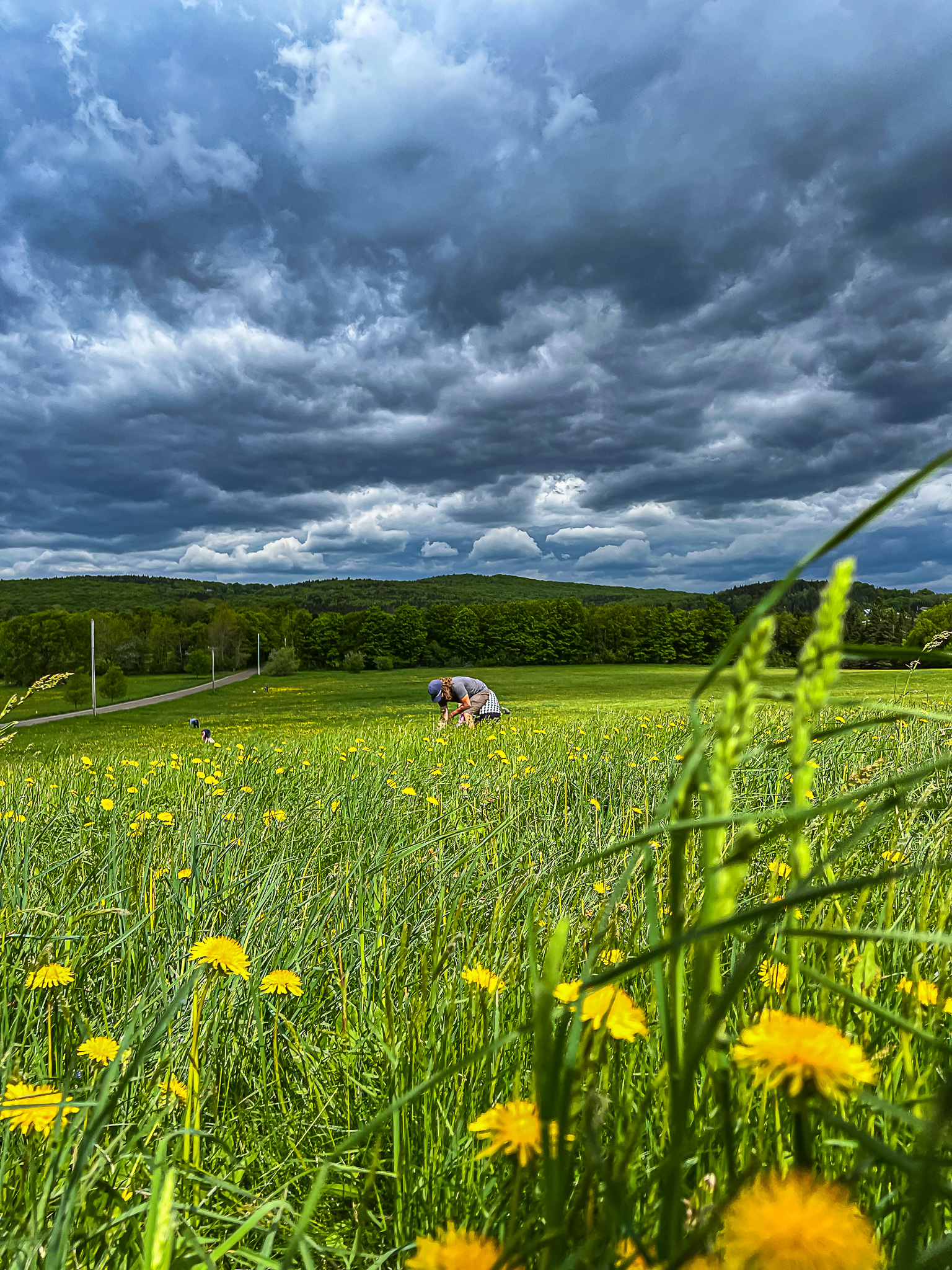 Vera Mae 20240524 012