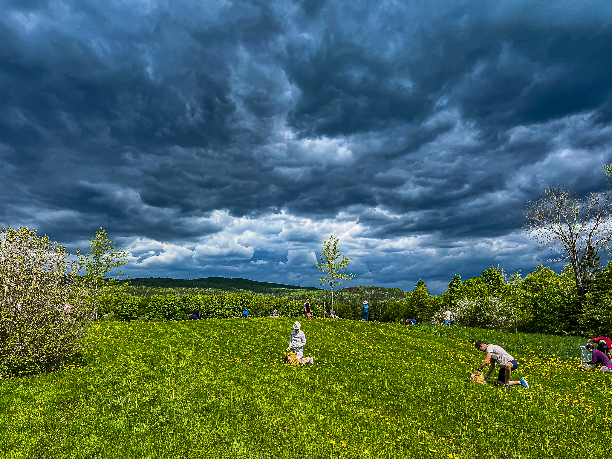 Vera Mae 20240524 013