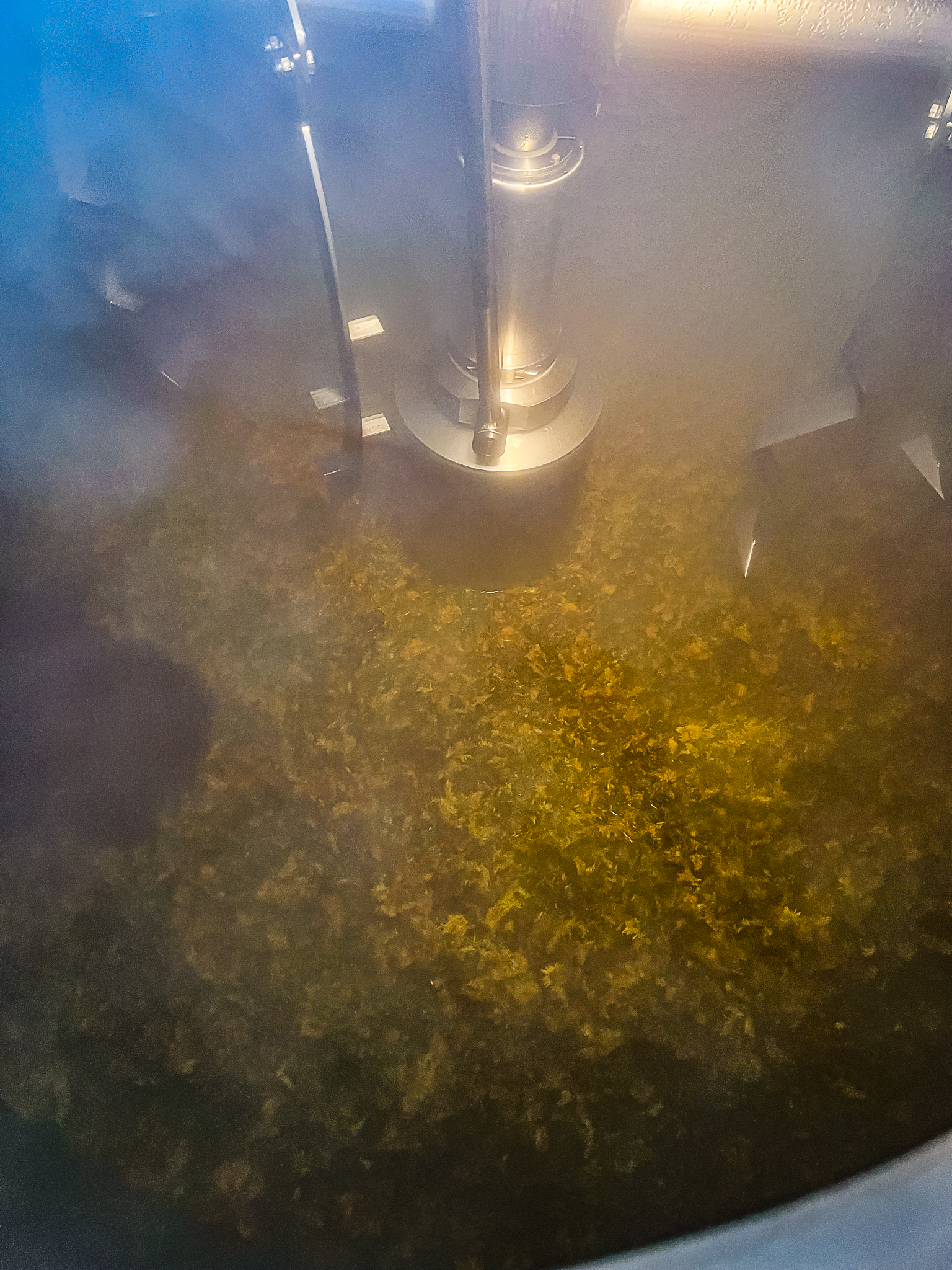 Vera Mae 20240530 020