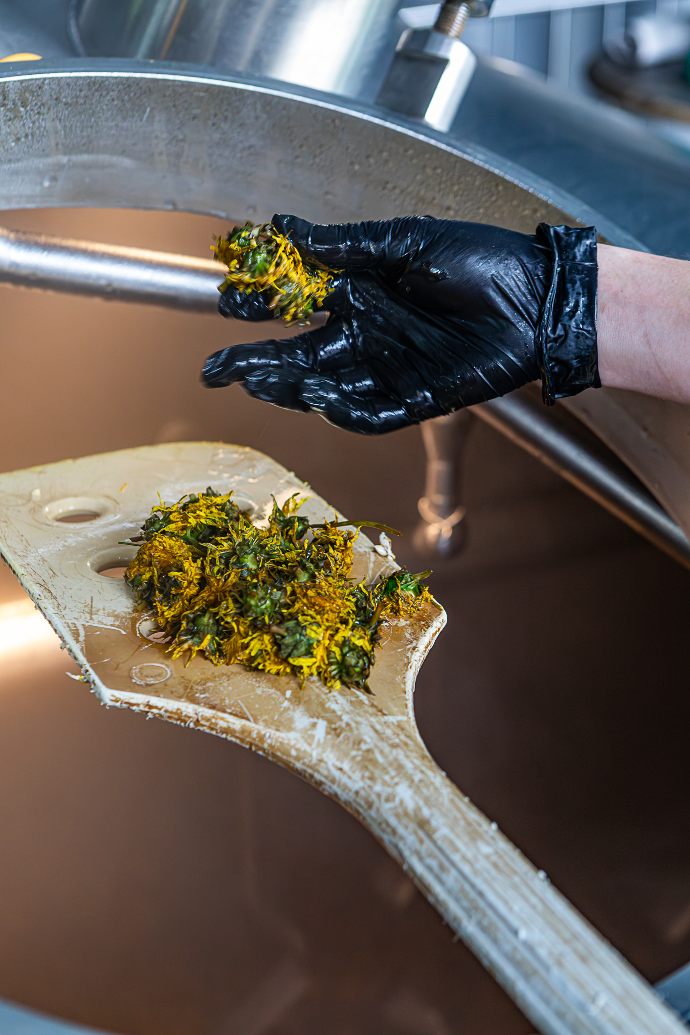 Vera Mae 20240531 023