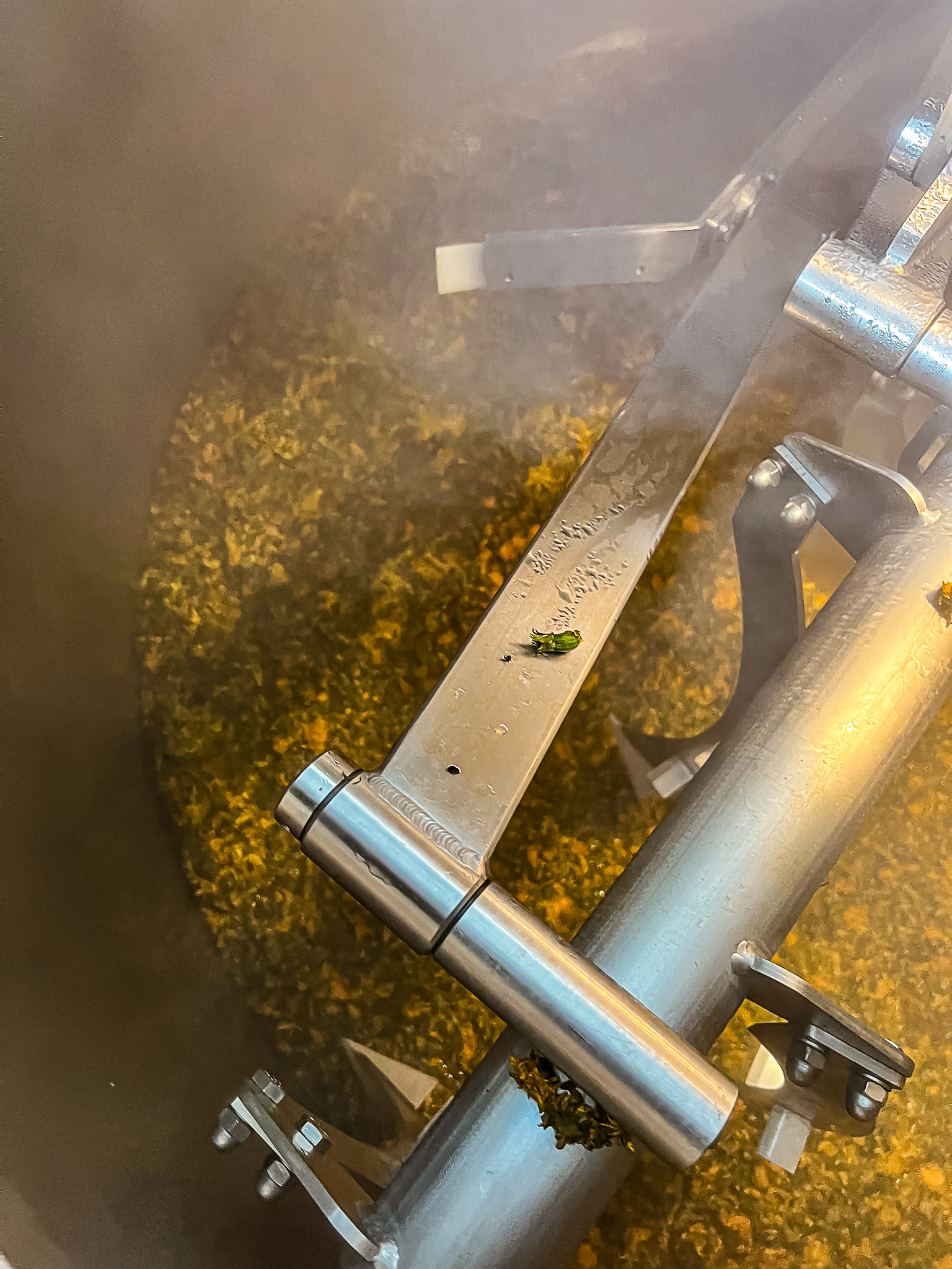 Vera Mae 20240531 026