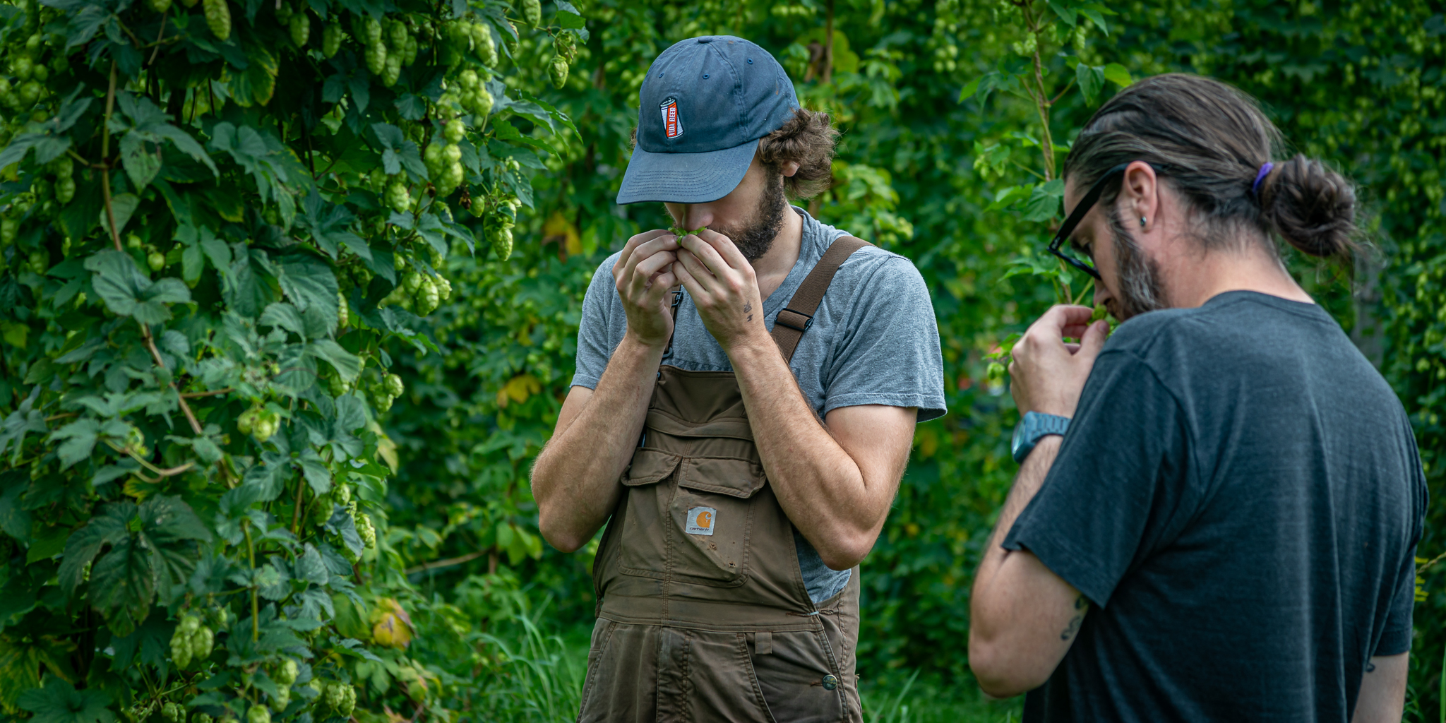 Whitefield Wet Hops lg 20190830 003