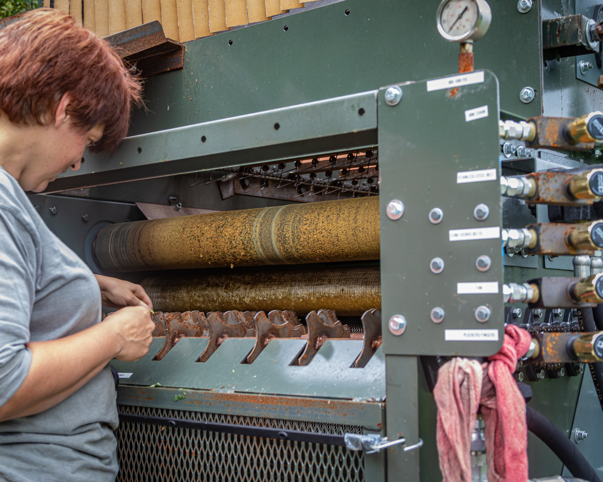 Whitefield Wet Hops lg 20190830 010