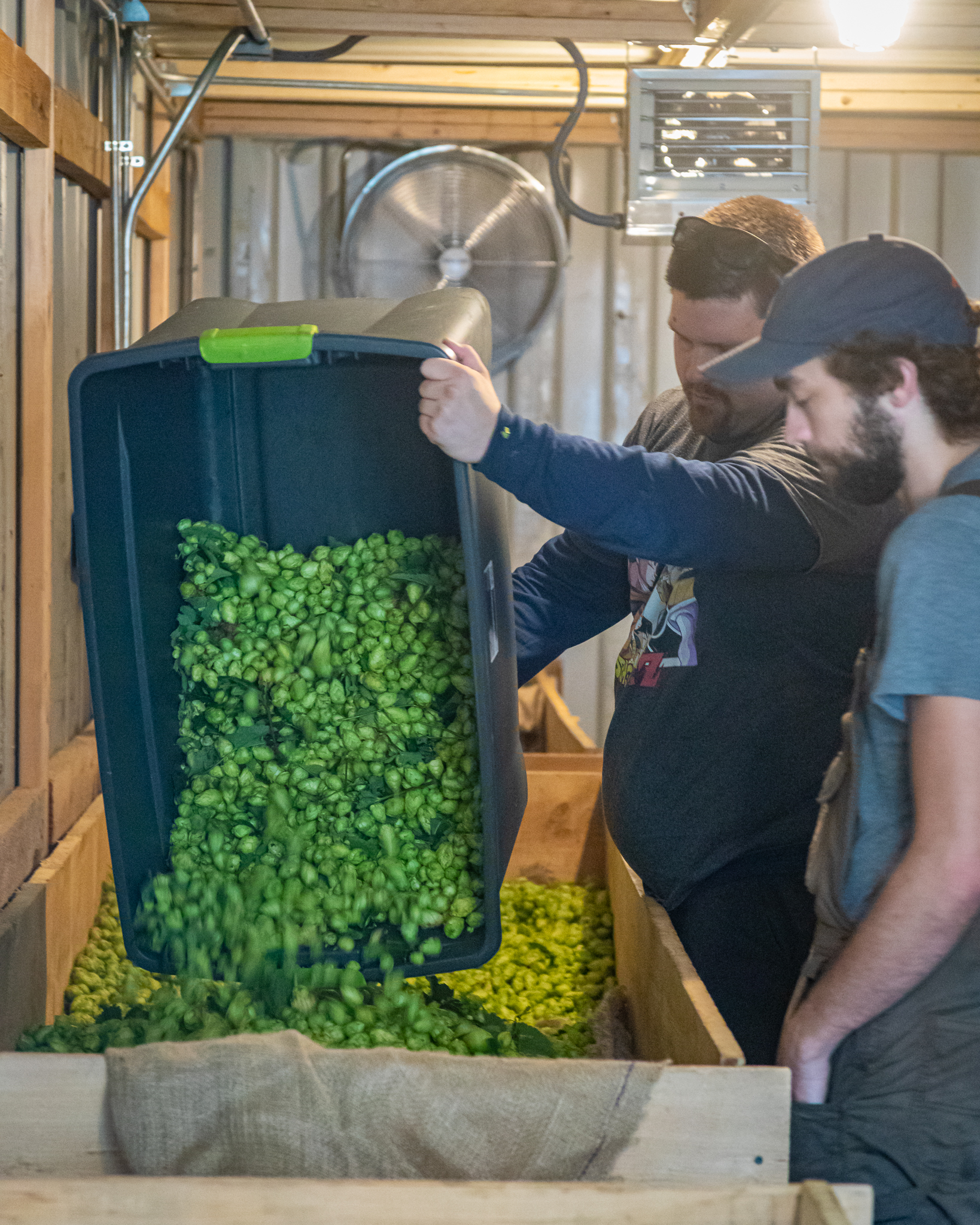 Whitefield Wet Hops lg 20190830 015