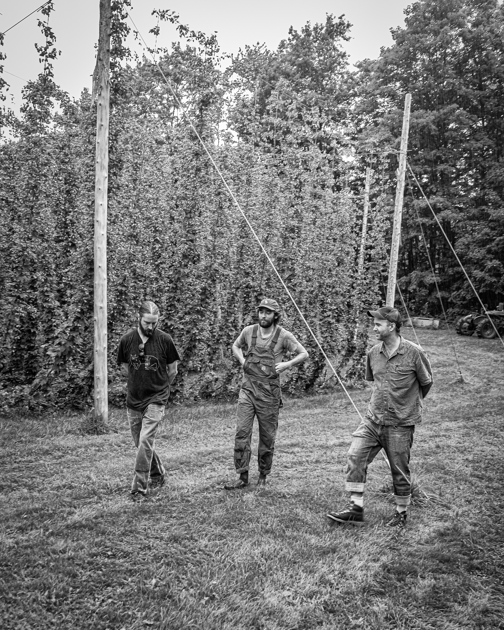 Whitefield Wet Hops lg 20190830 022