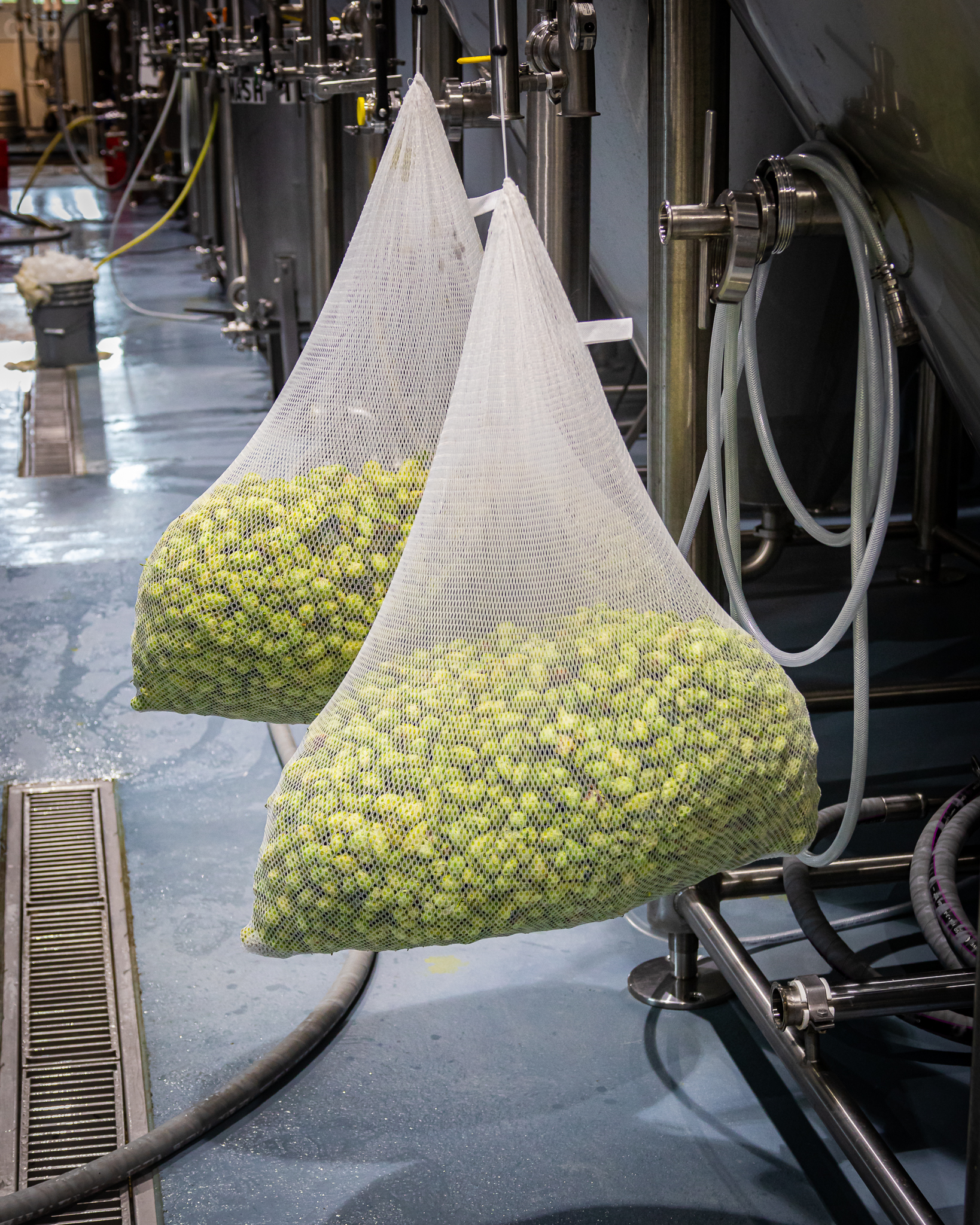 Whitefield Wet Hops lg 20190830 030