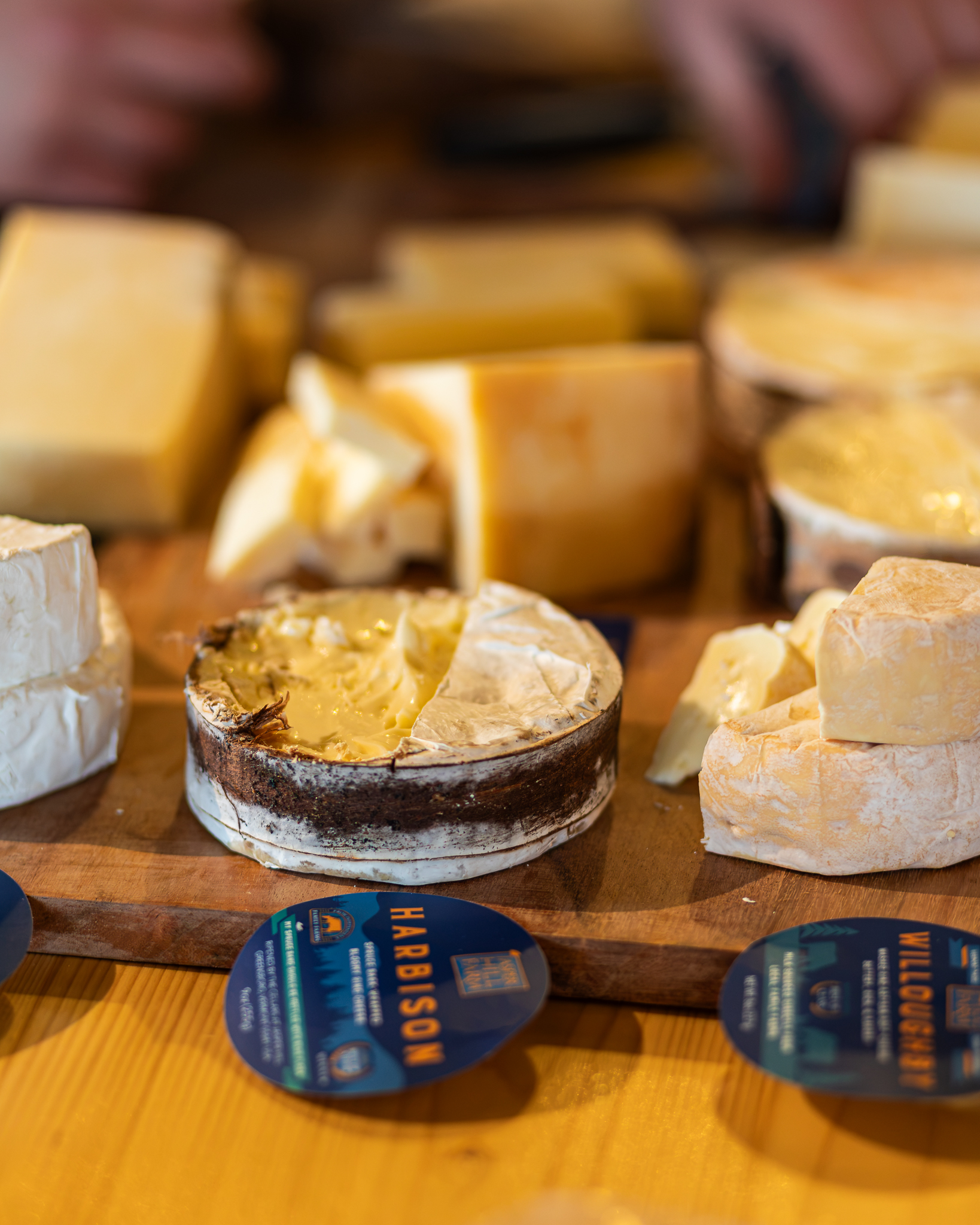 cheese