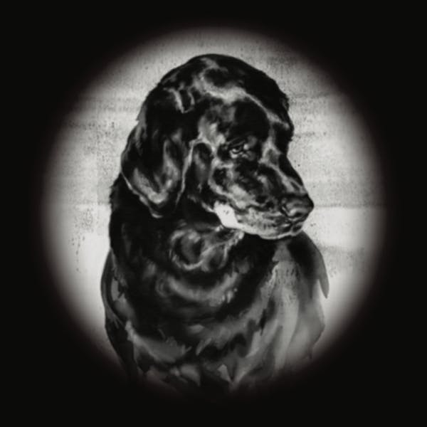 damon-label damon-label