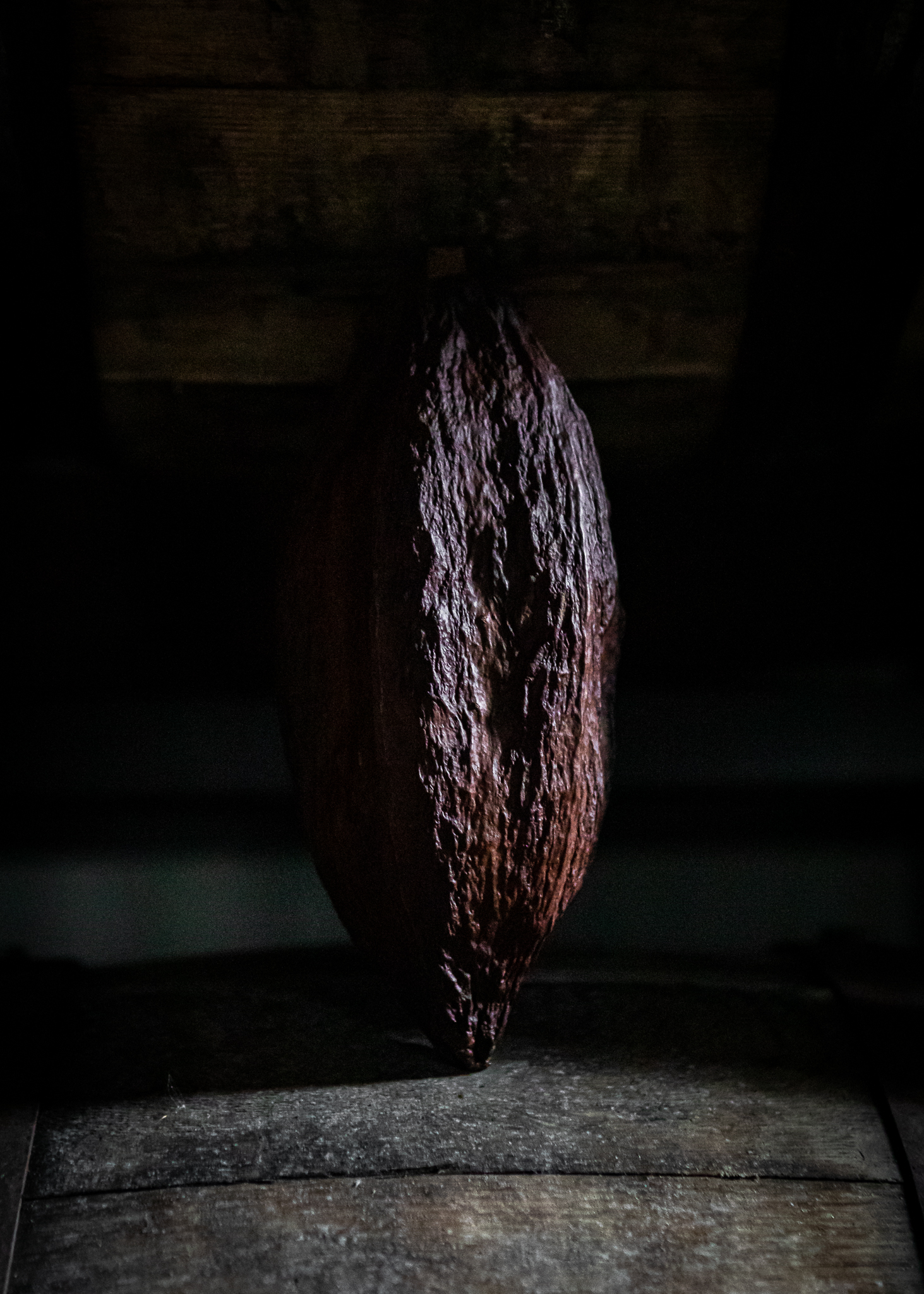 madness 15 20210709 0001