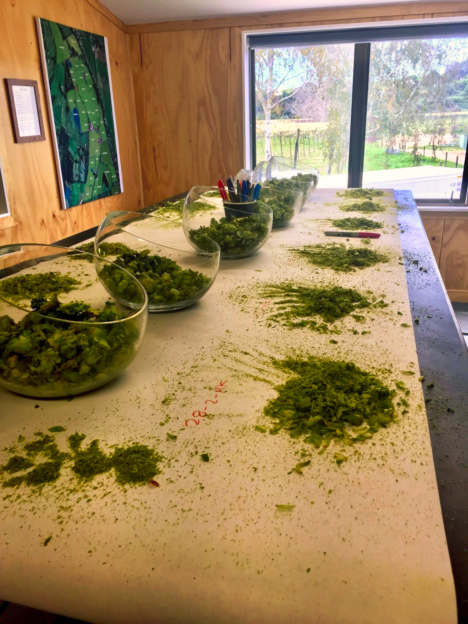 nz hop selection