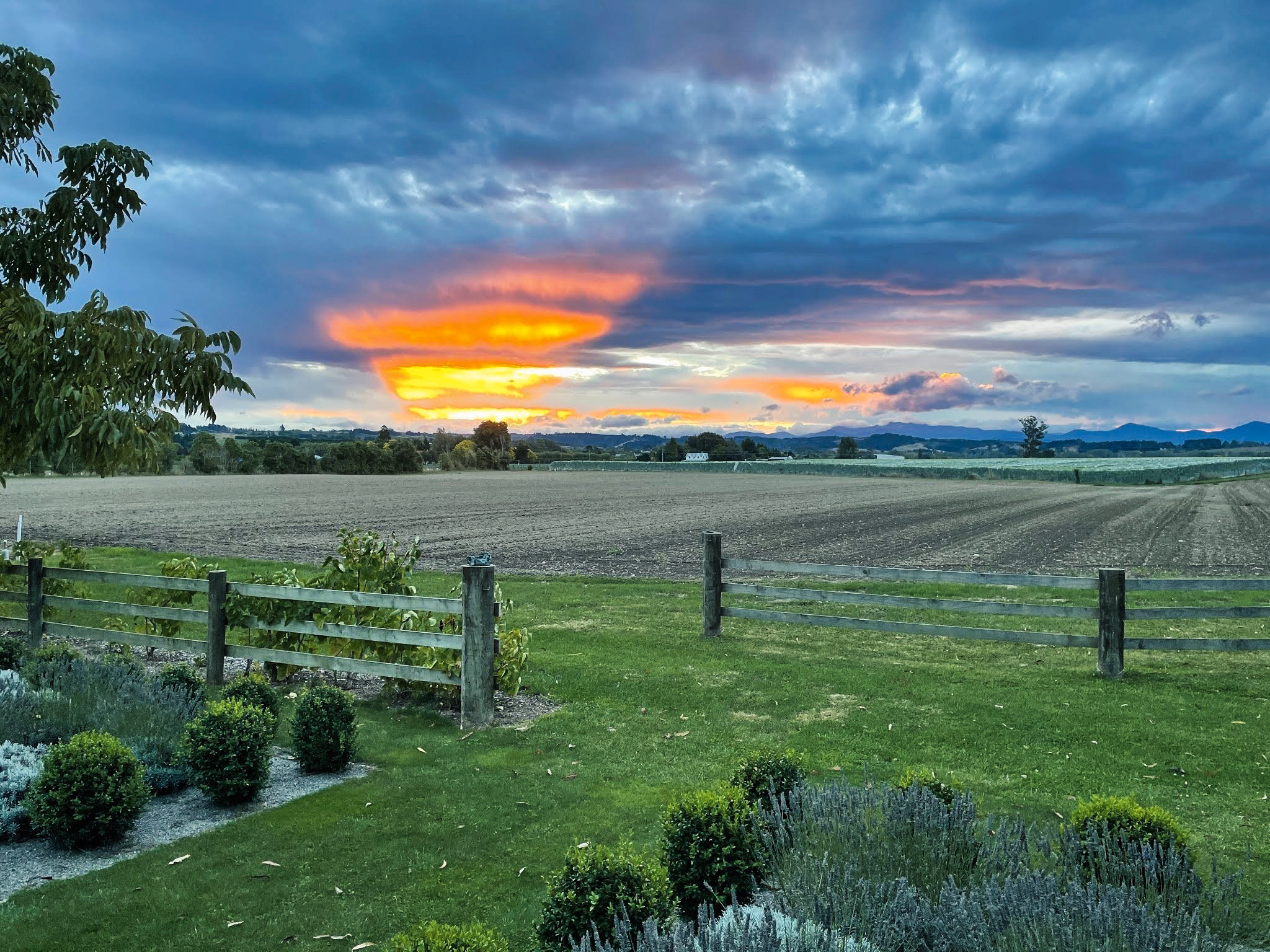 sunset nz