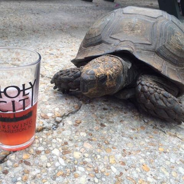 Drink Beer. Save Turtles. Earth Day Celebration
