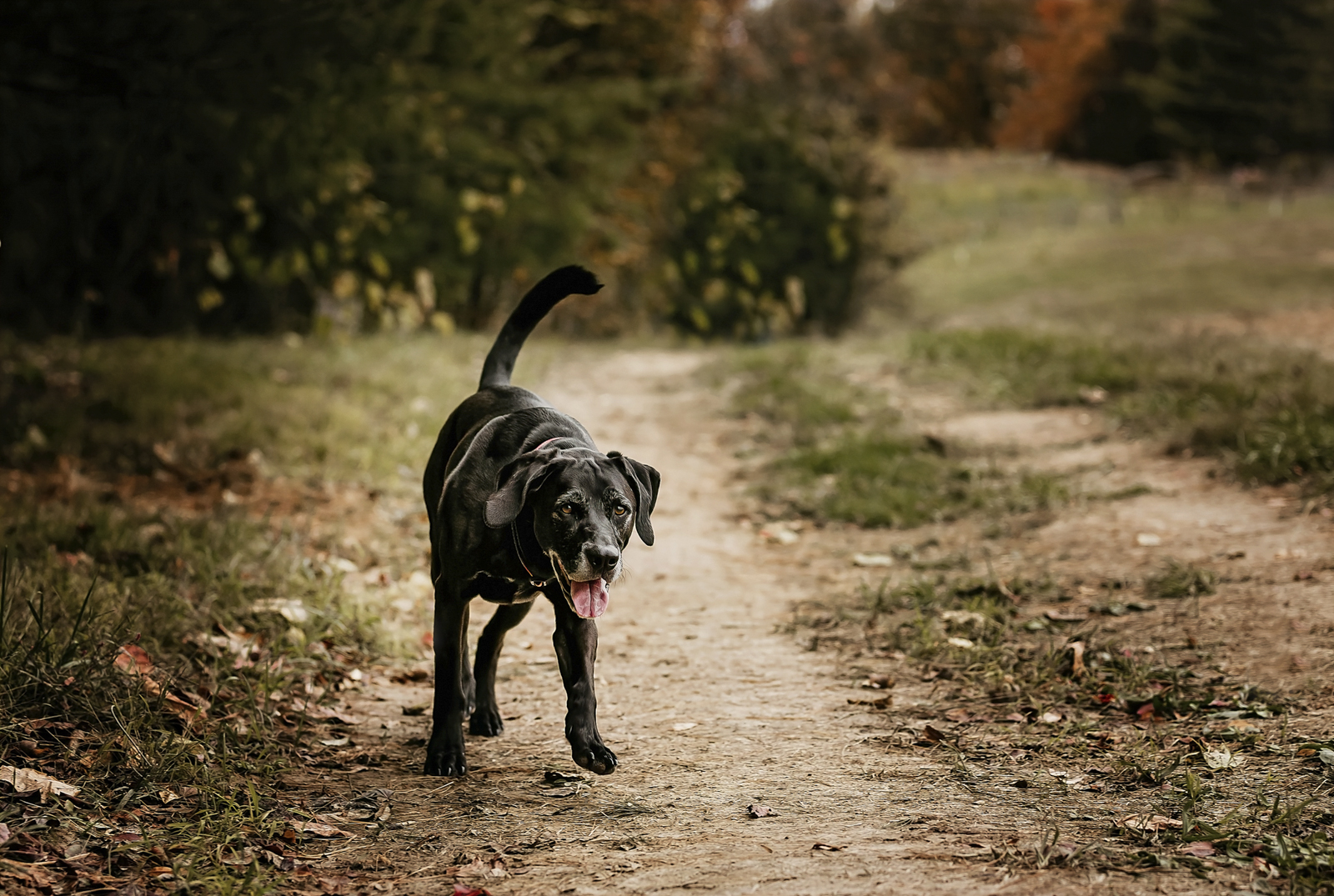 Jackie-O's-Brewery-The-Farm_N0B5546