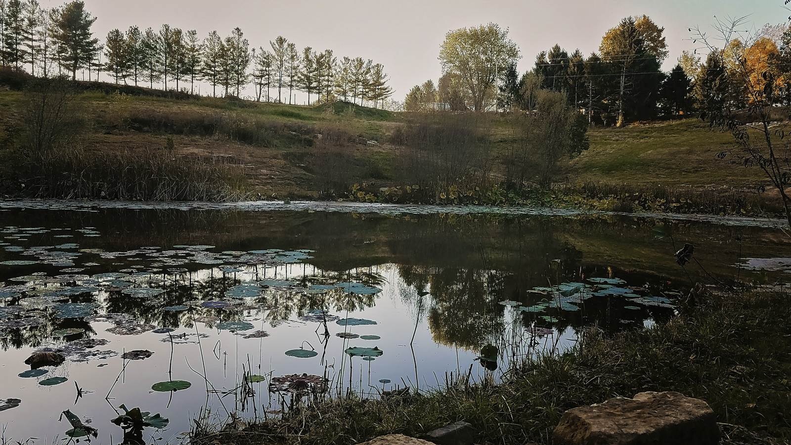 Jackie-O's-Brewery-The-Farm_N0B5833