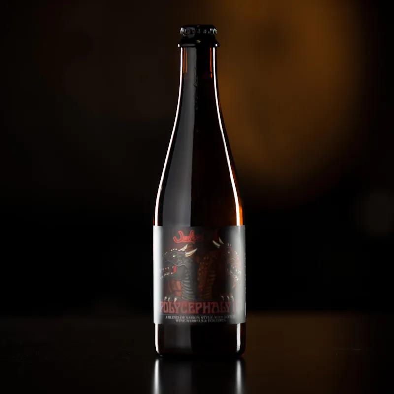 Polycephaly 4 by Jackie O's Brewery
