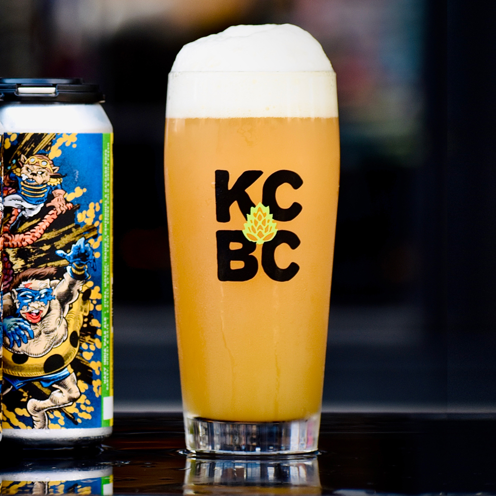 SUPERHERO-SIDEKICKS-2