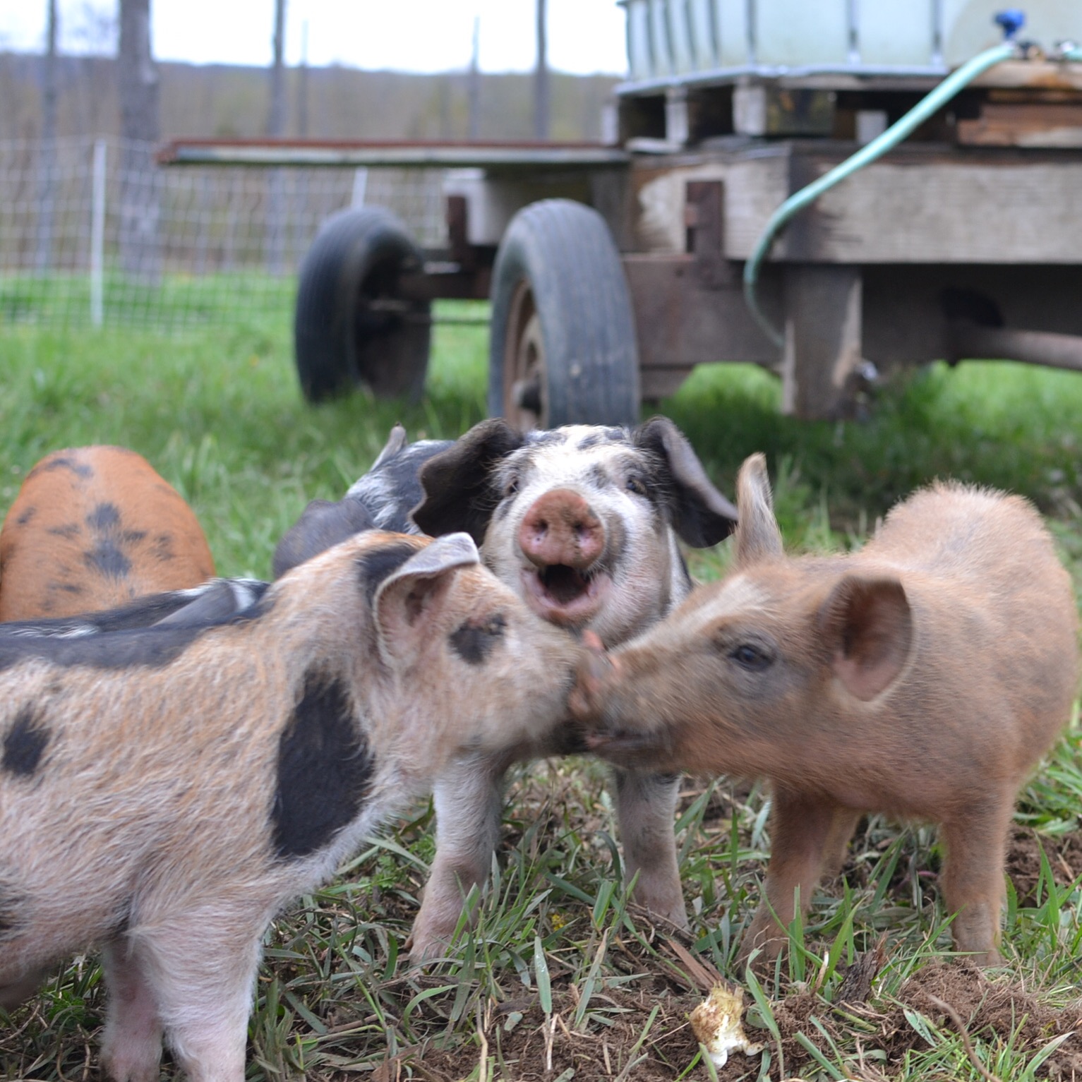 5C143E49-8B34-4632-A090-0EE15FFE953D