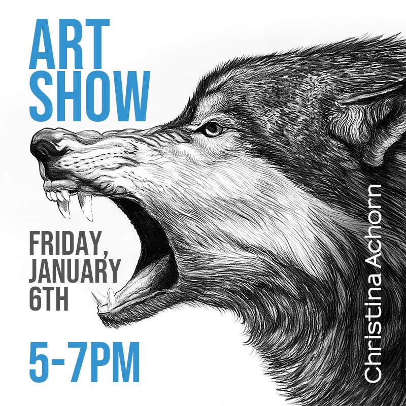 Art Show by Christina Achorn