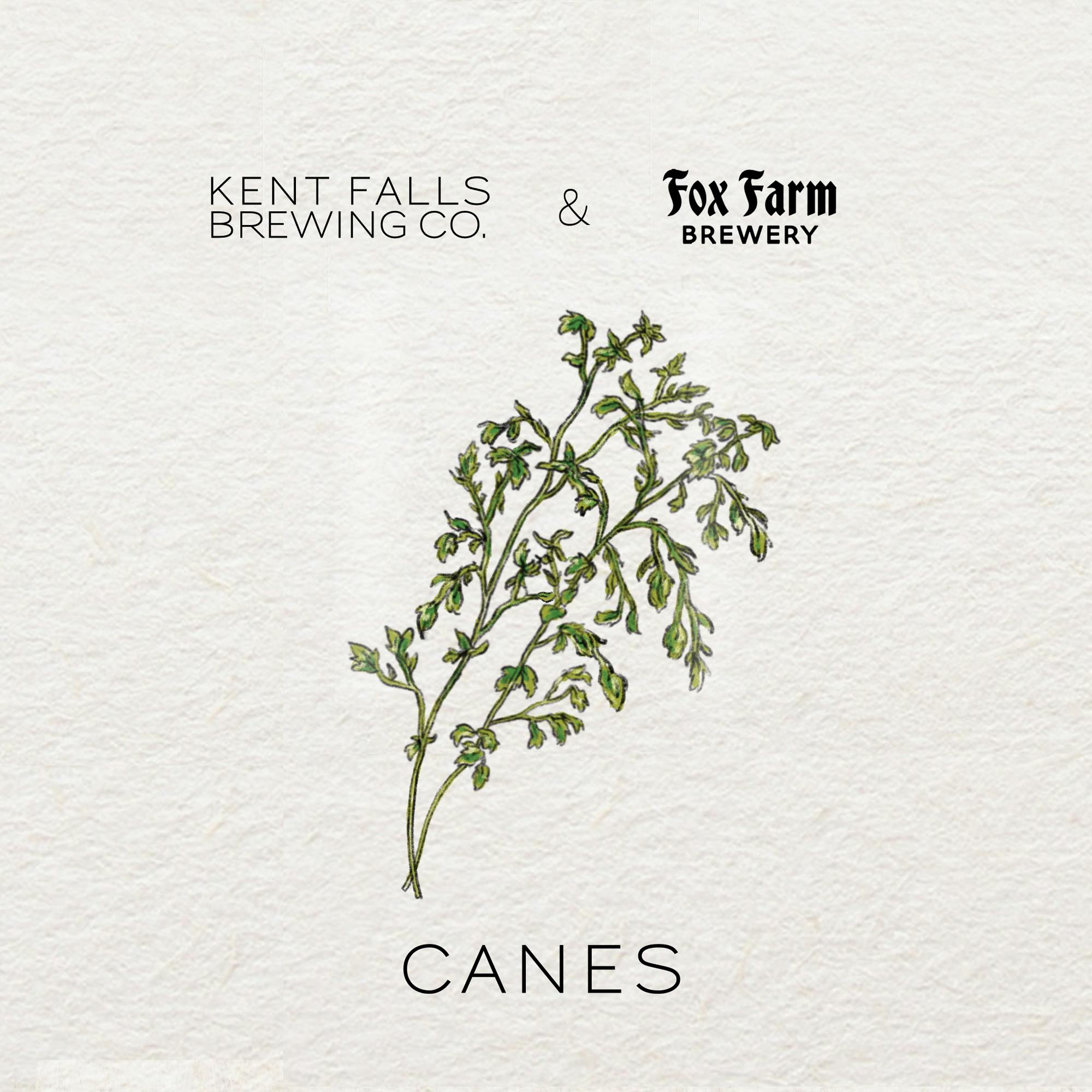 Canes Kent Falls Brewing Co