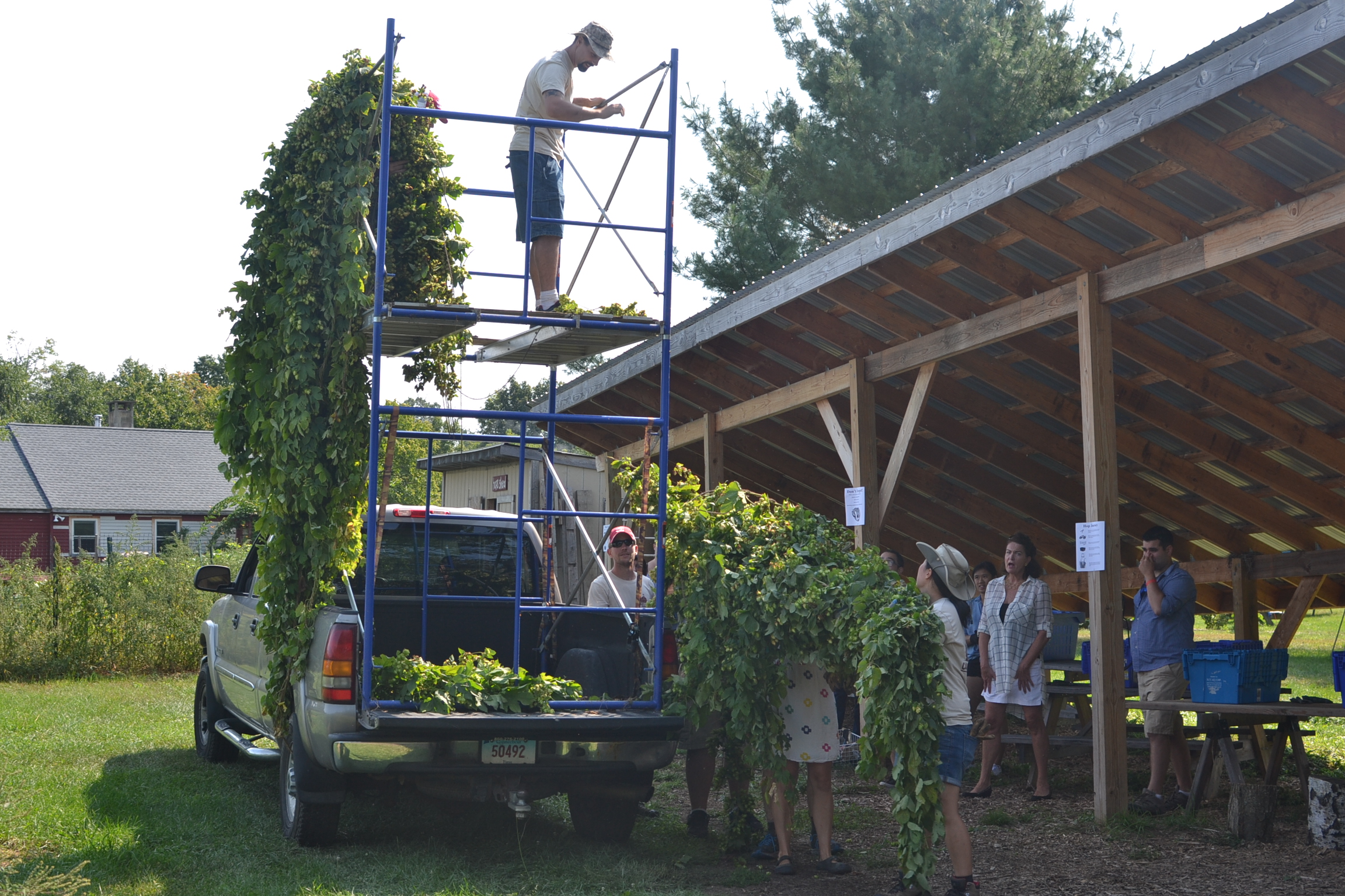 IMG_3996