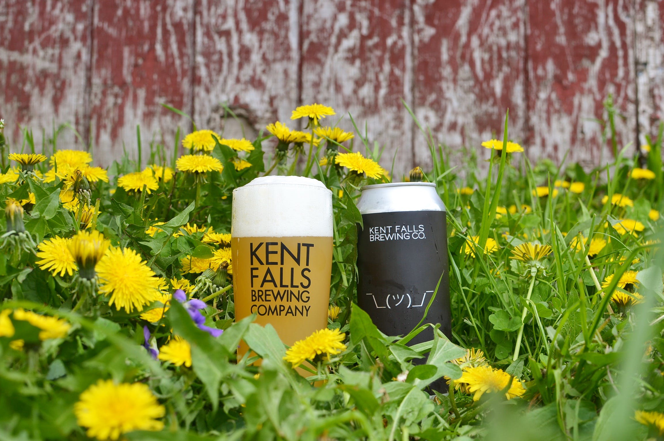 Can Release: Shruggie + Air Guitar