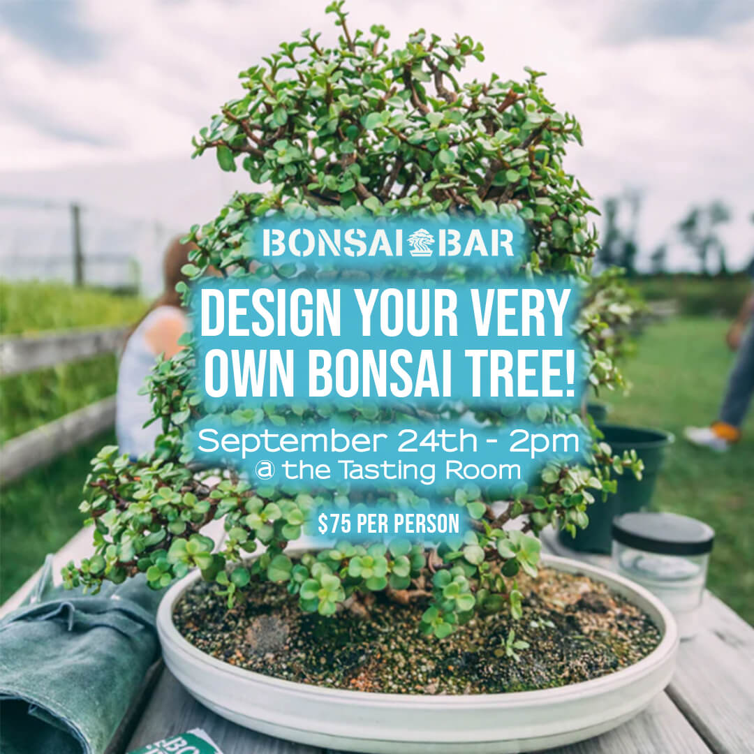 alambre para bonsais Alambre Bonsi 100g  Bonsai Supply