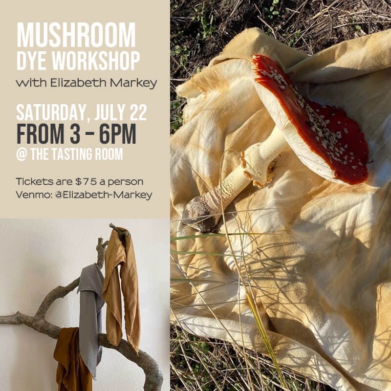 Mushroom Dye Workshop | Kent Falls Brewing Co