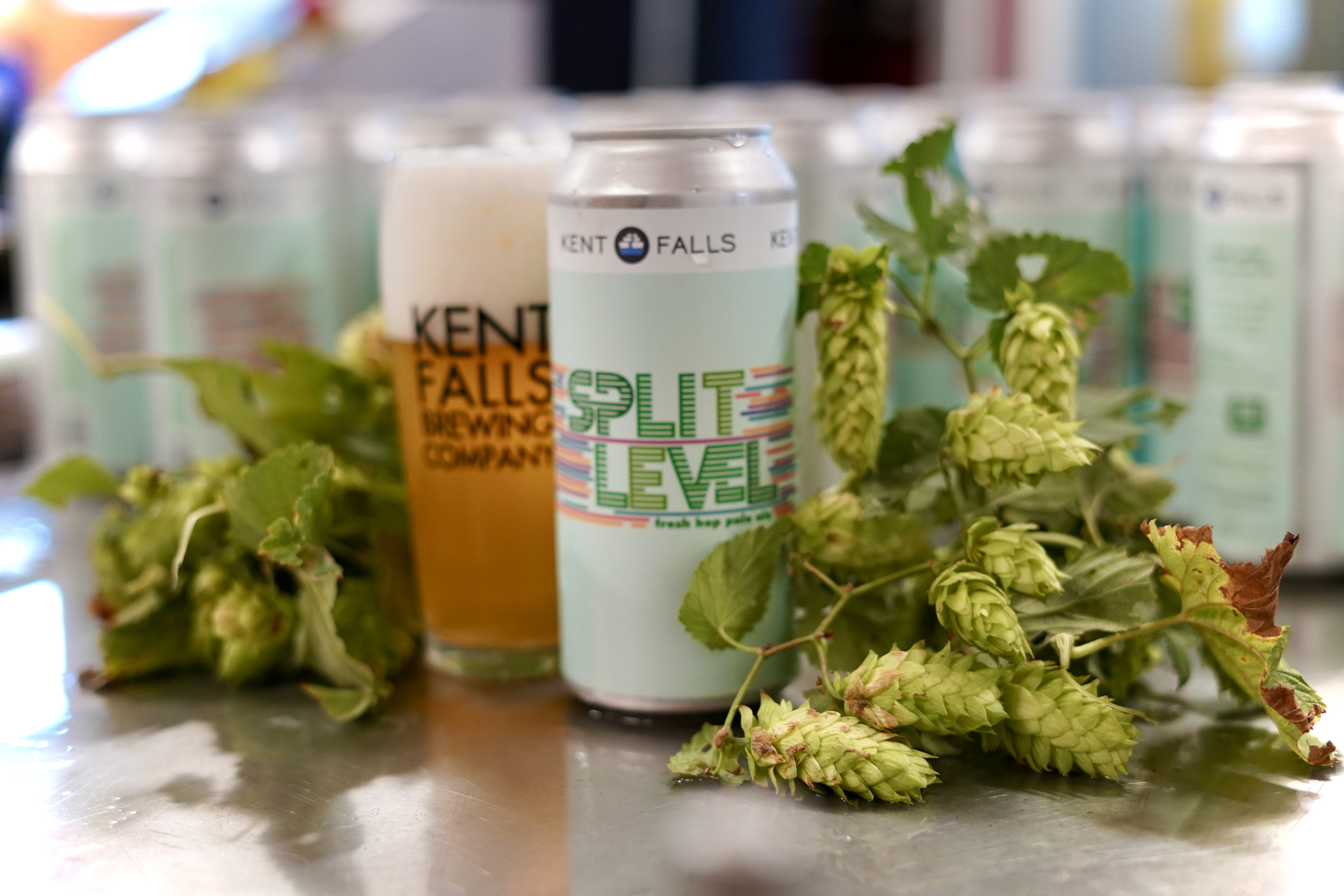 New Fresh Hop Beer: Split Level