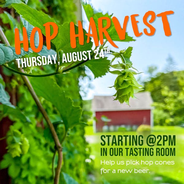 Hop Harvest 2023