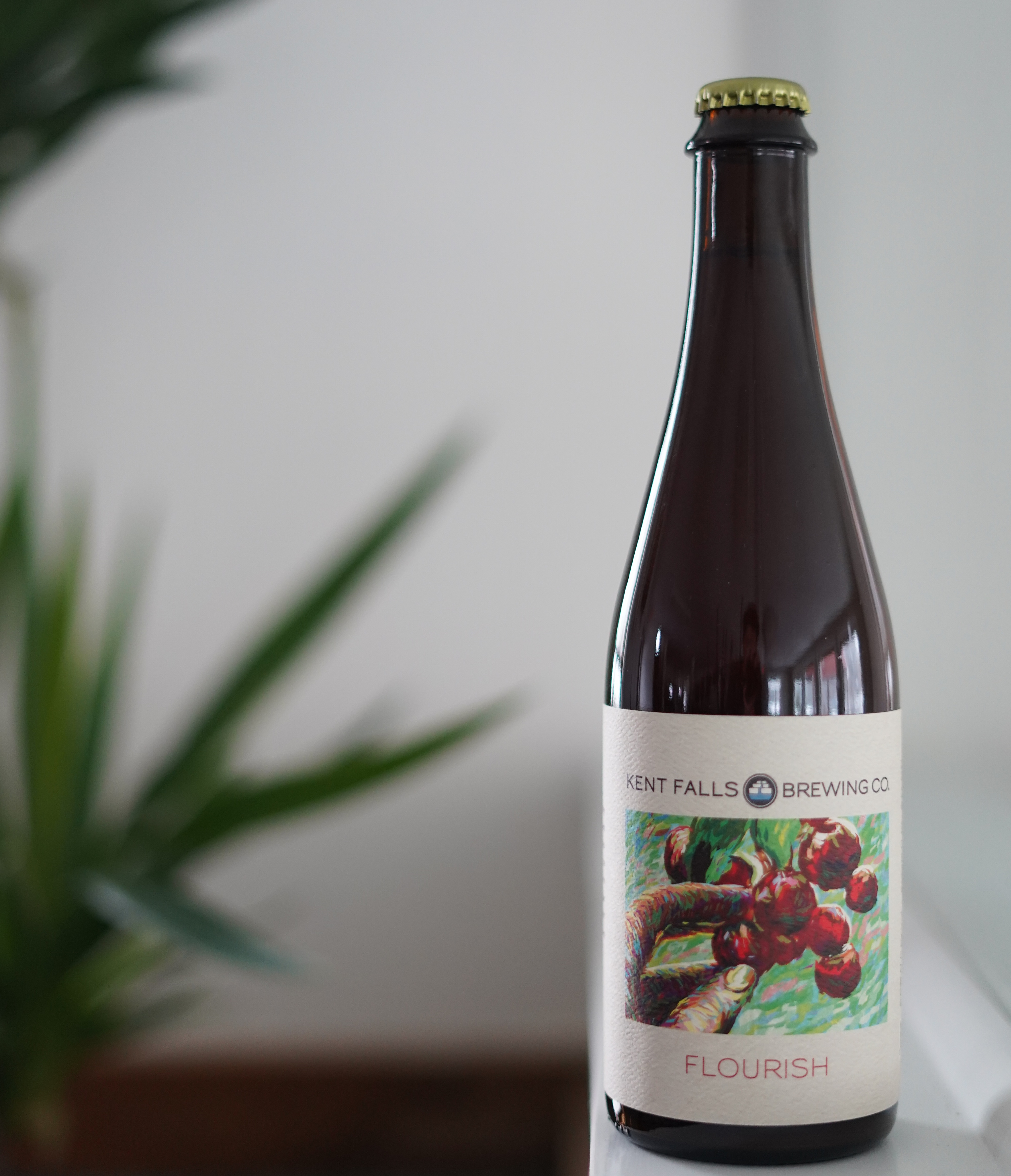 Rare/Vintage Bottle Share