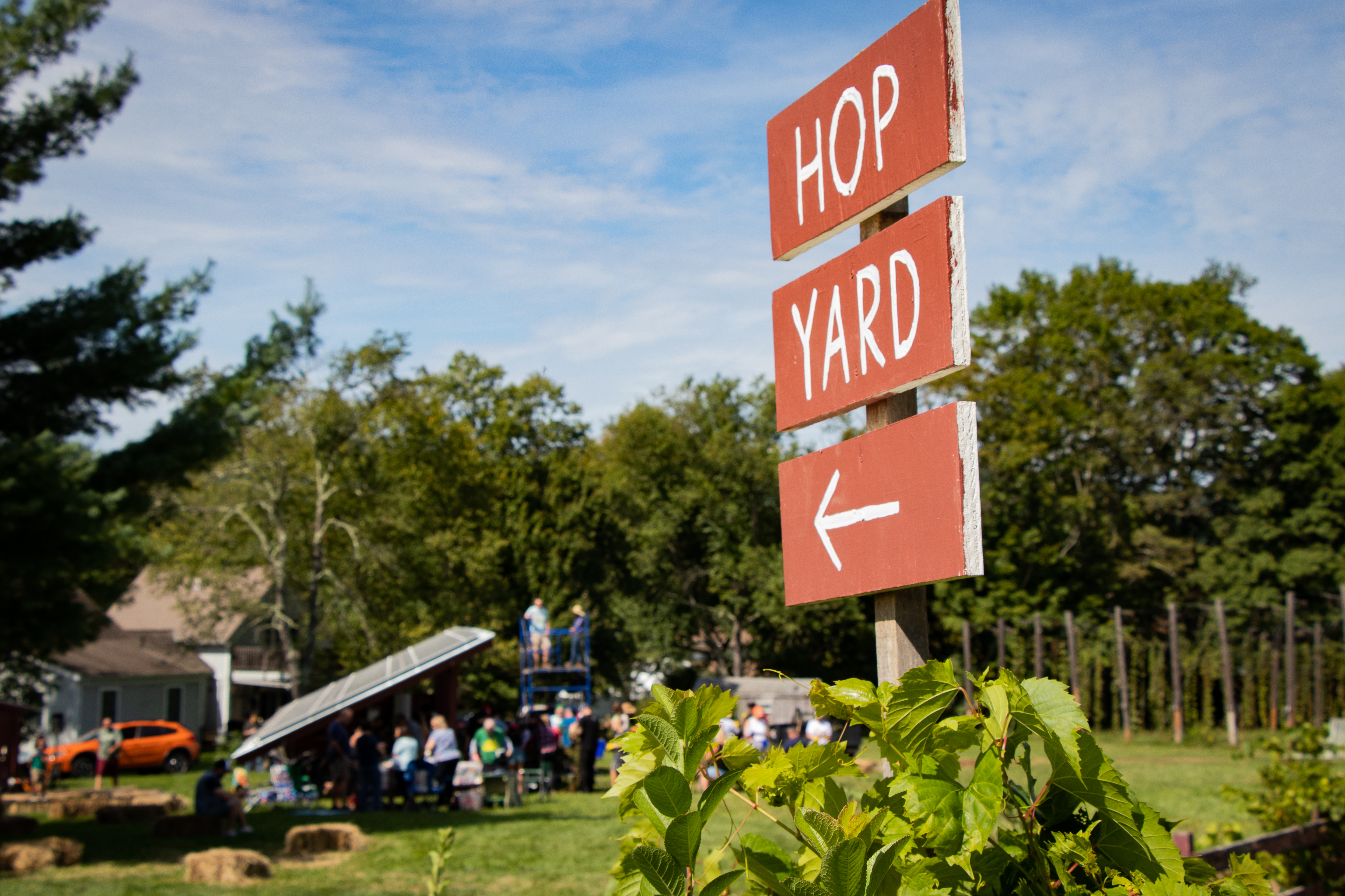 hop_harvest-3863