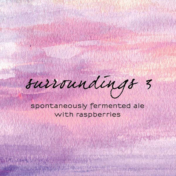 image-18 Artwork for Surroundings 3 beer