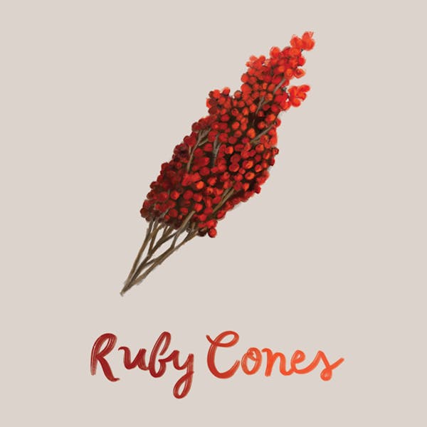 ruby-cones-square Artwork for Ruby Cones beer