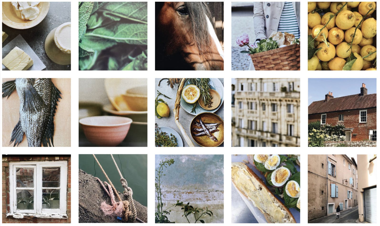 the walled garden collage