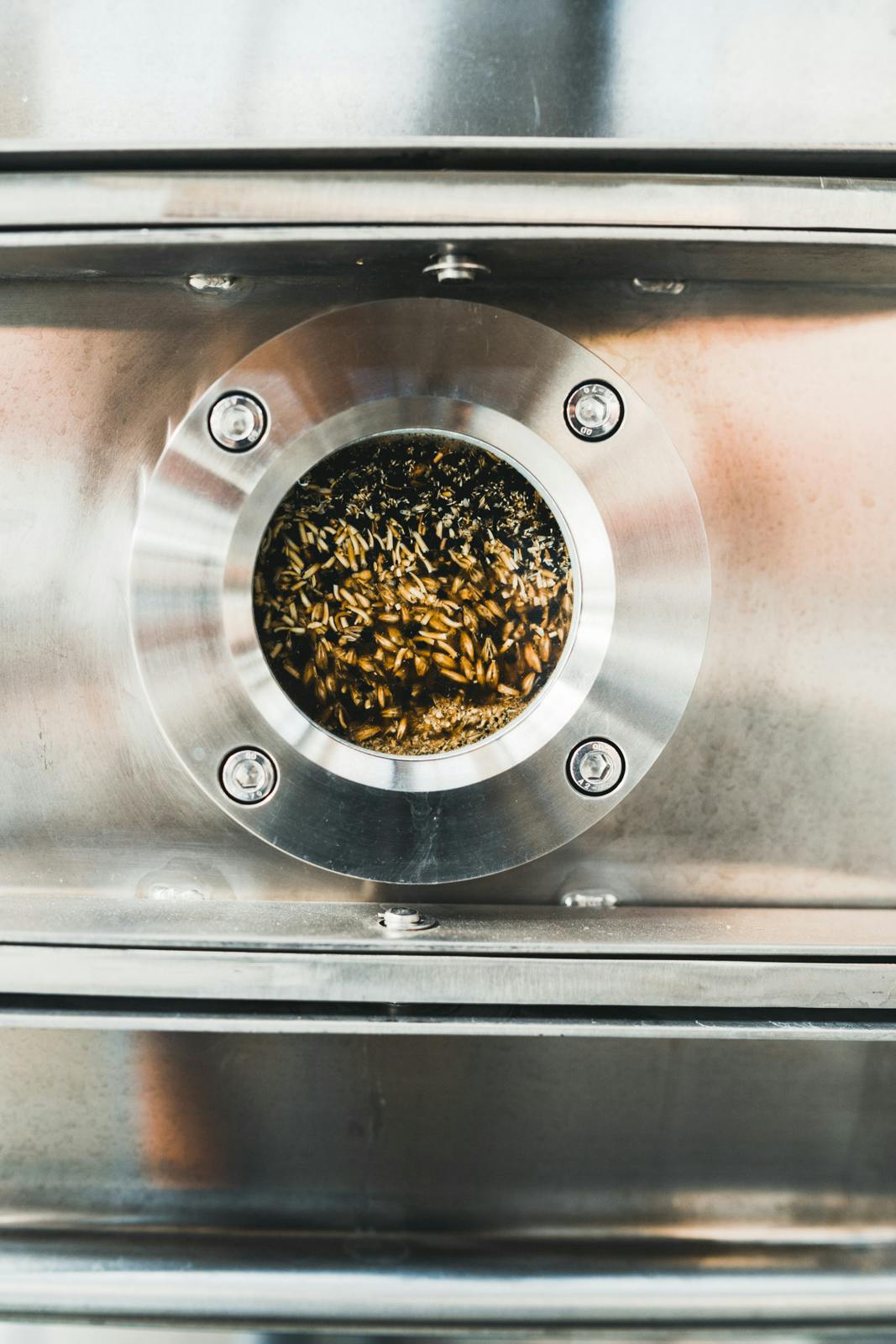 grains in the mash tank