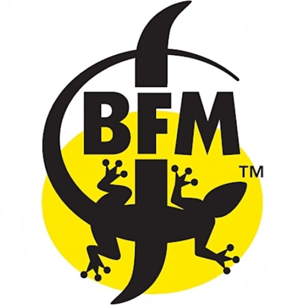 Photographer BFM logo