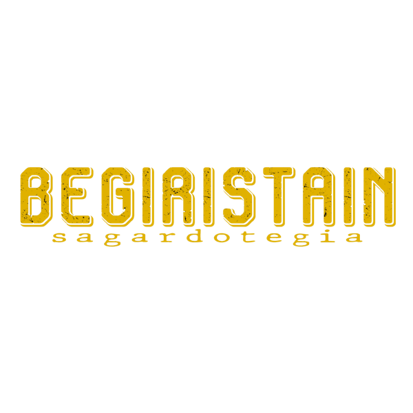 LOGO_BEGIRISTAIN no background LOGO_BEGIRISTAIN no background