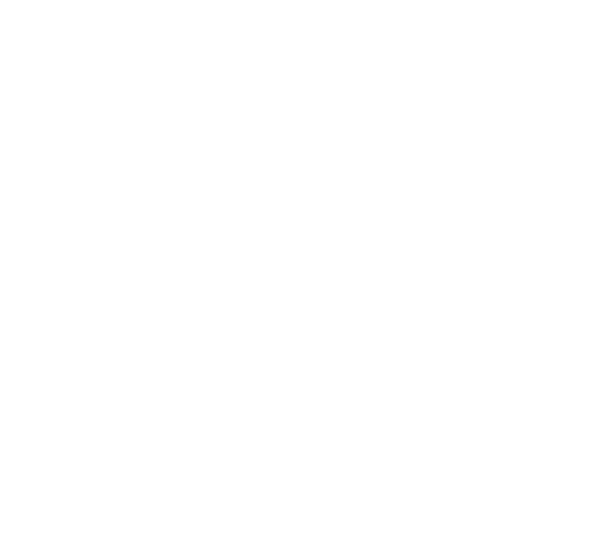 Lime Ventures