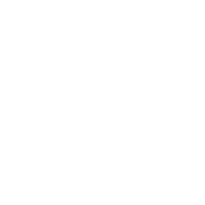 LOKA POLLY